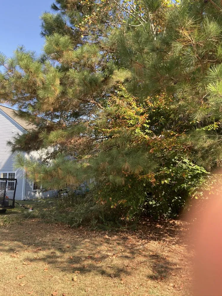 Affordable garden landscaping with custom design across Portsmouth, VA - J&J Tree and Lawn