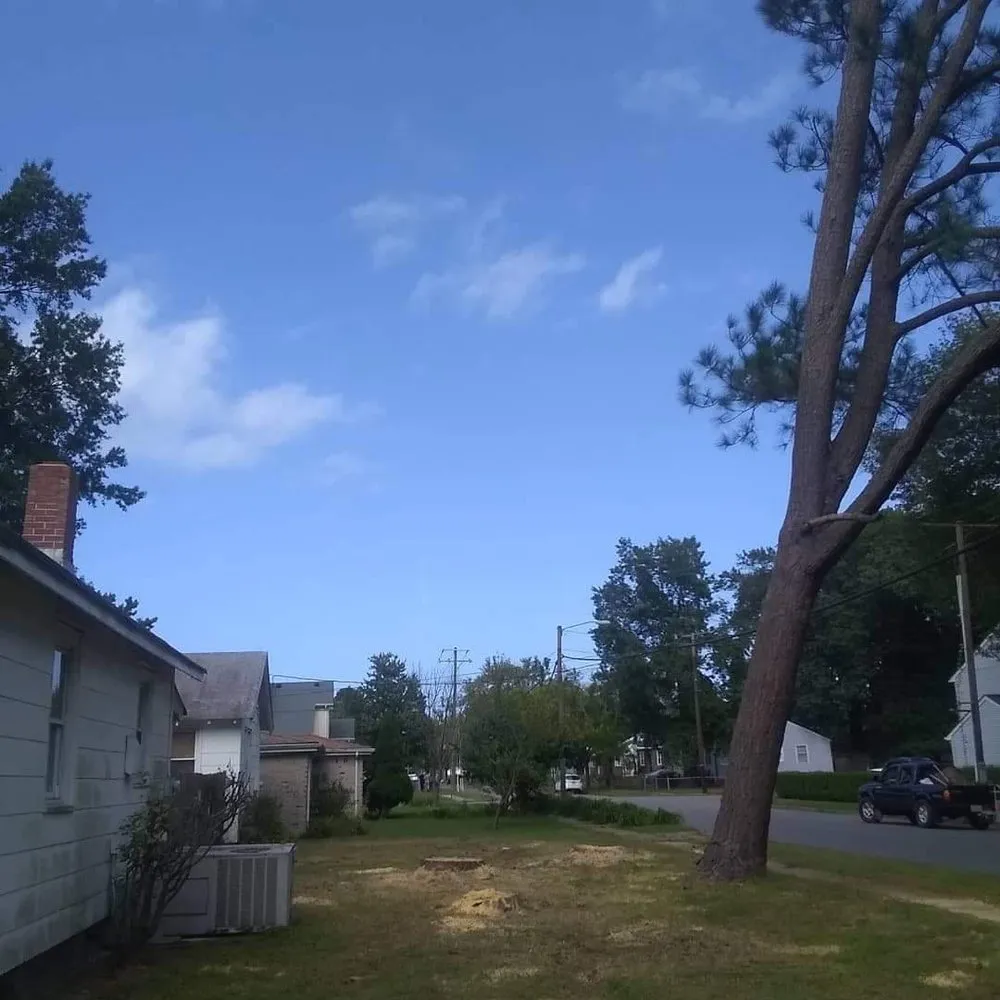 Custom landscape installation in Portsmouth, VA by J&J Tree and Lawn