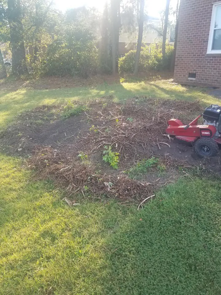 Top-rated outdoor landscaping for homes in Portsmouth, VA by J&J Tree and Lawn