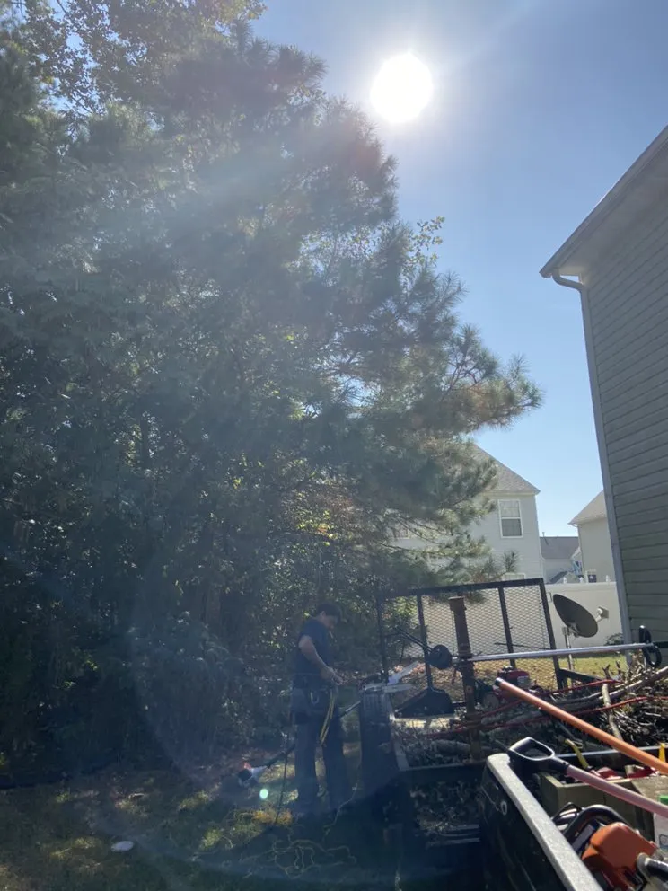 Reliable yard maintenance in Portsmouth, VA - J&J Tree and Lawn