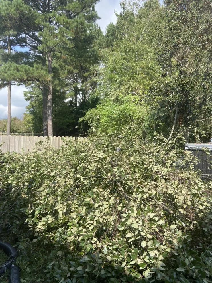 Trusted lawn care service experts serving Portsmouth, VA - J&J Tree and Lawn