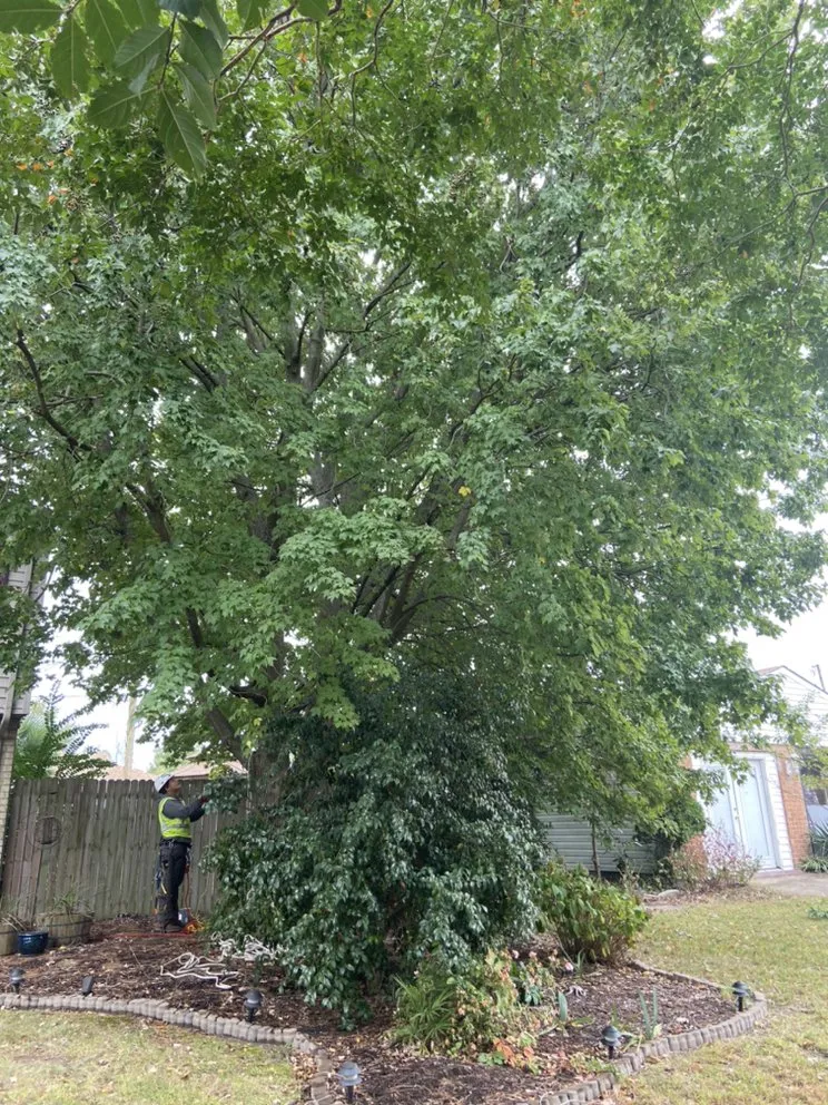 Top-rated landscaping services for homes in Portsmouth, VA by J&J Tree and Lawn