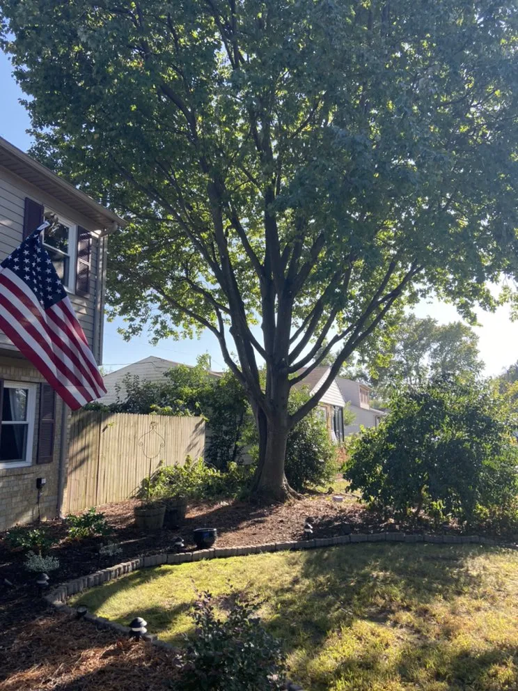 Affordable landscape design in Portsmouth, VA by J&J Tree and Lawn