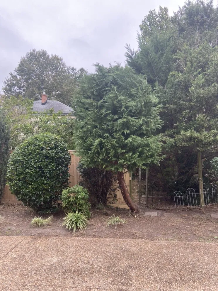 Reliable lawn care service in Portsmouth, VA - J&J Tree and Lawn