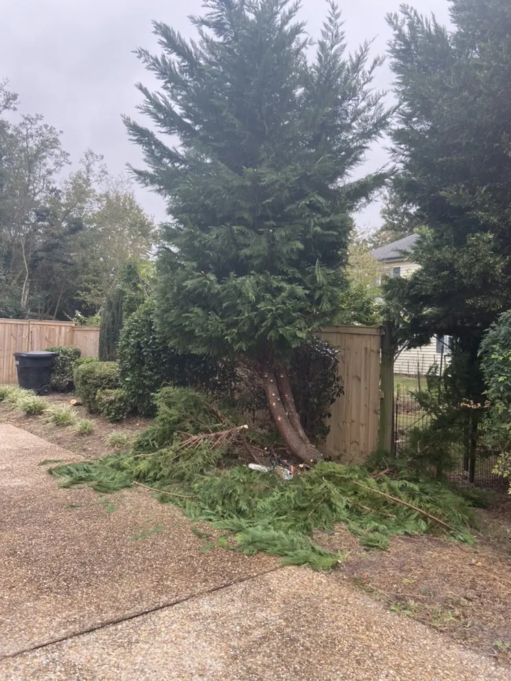 Custom yard cleanup service with custom design in Portsmouth, VA by J&J Tree and Lawn