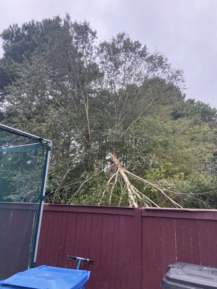 Trusted yard maintenance near you in Portsmouth, VA by J&J Tree and Lawn