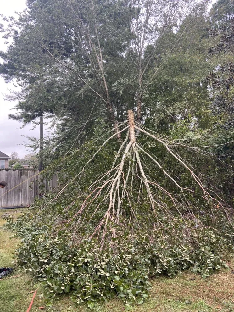 Top-rated lawn care service with custom design across Portsmouth, VA - J&J Tree and Lawn