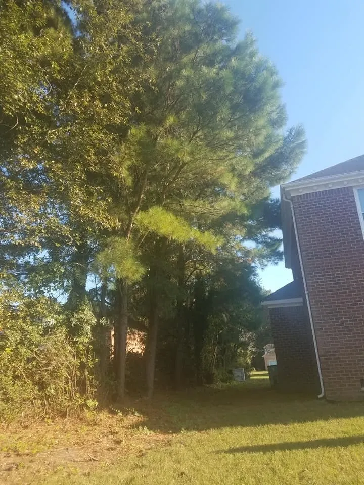 Reliable yard cleanup service near you in Portsmouth, VA by J&J Tree and Lawn