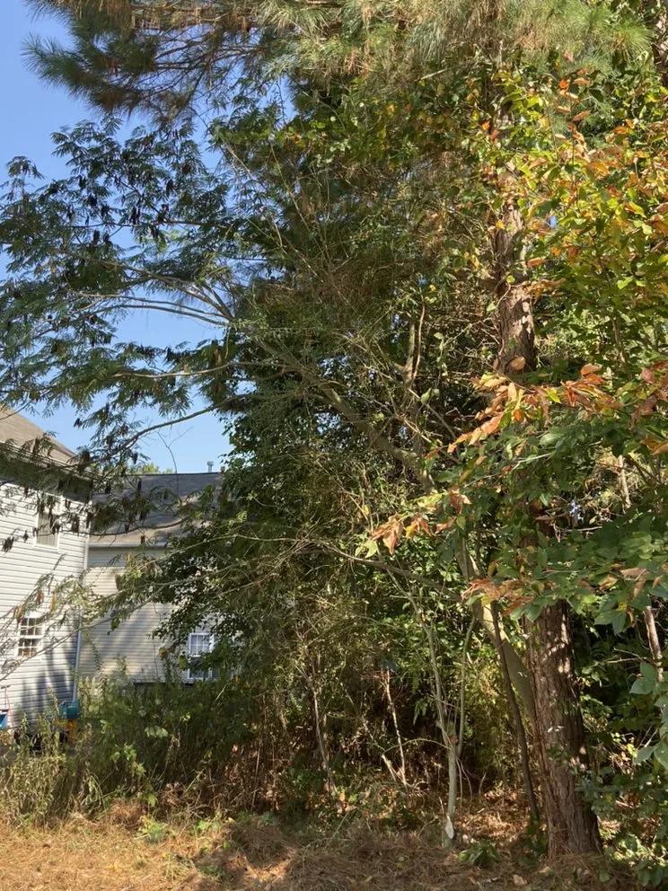 Reliable residential landscaping in Portsmouth, VA - J&J Tree and Lawn