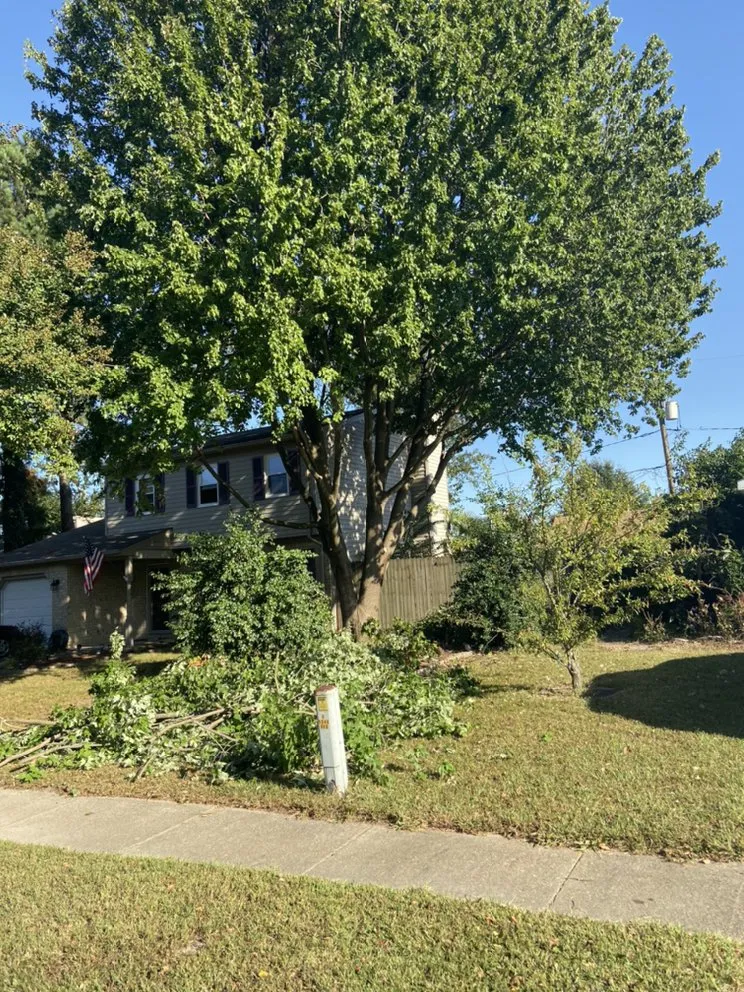 Local landscaping services with custom design in Portsmouth, VA by J&J Tree and Lawn