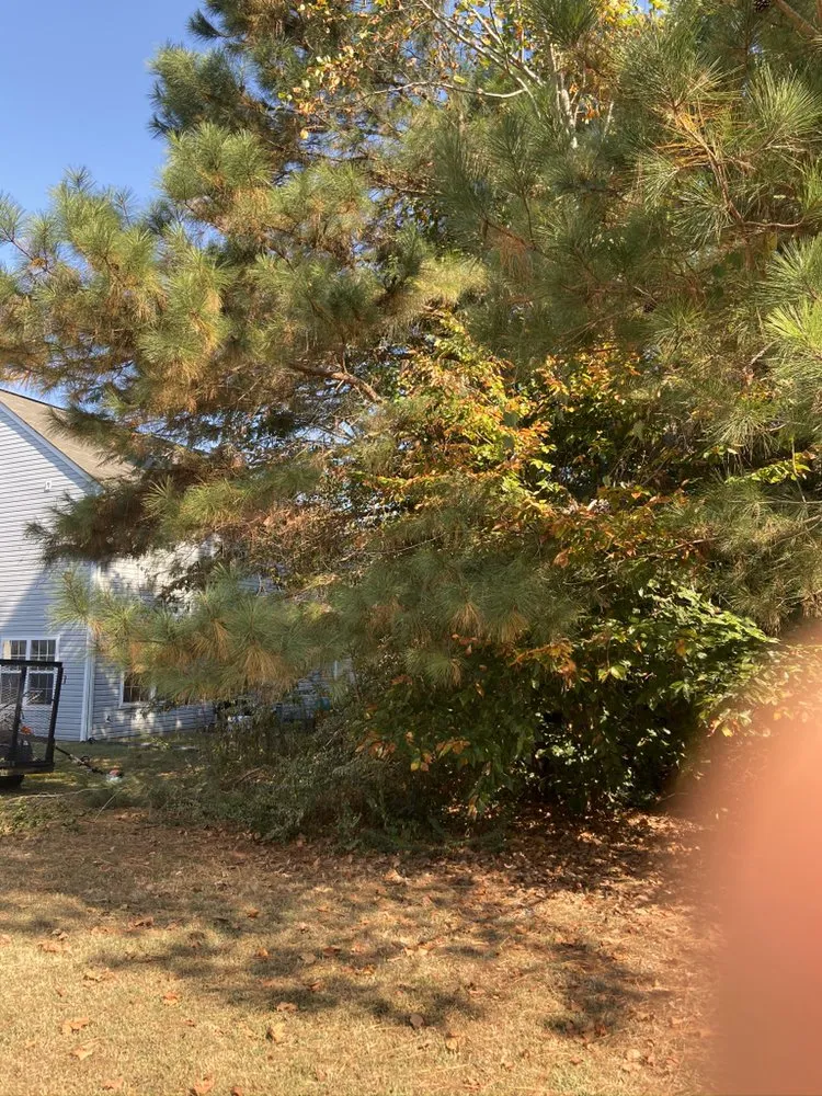 Trusted landscape installation for outdoor upgrades in Portsmouth, VA by J&J Tree and Lawn