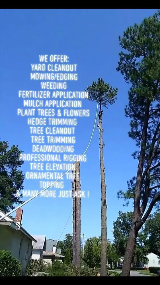 Trusted outdoor landscaping near you across Portsmouth, VA - J&J Tree and Lawn