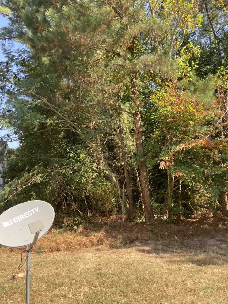 Top-rated yard cleanup service near you in Portsmouth, VA by J&J Tree and Lawn