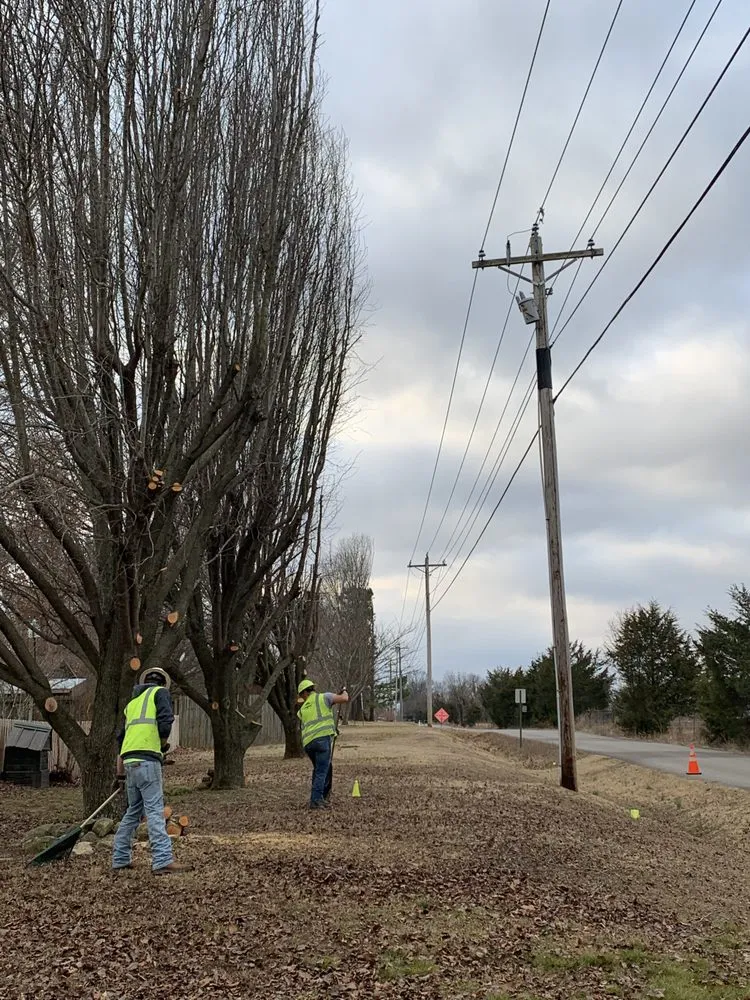 Top-rated landscaping services near you in Colcord, OK by JJ tree service