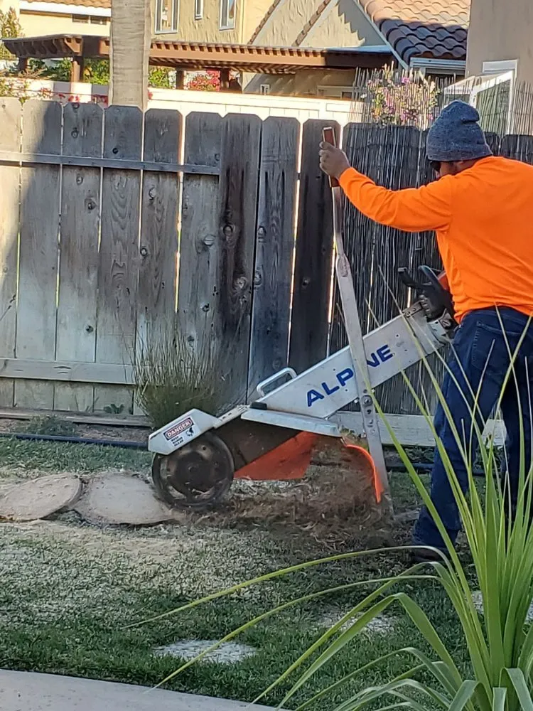 Reliable lawn care service for year-round maintenance across Encinitas, CA - JJ Tree service