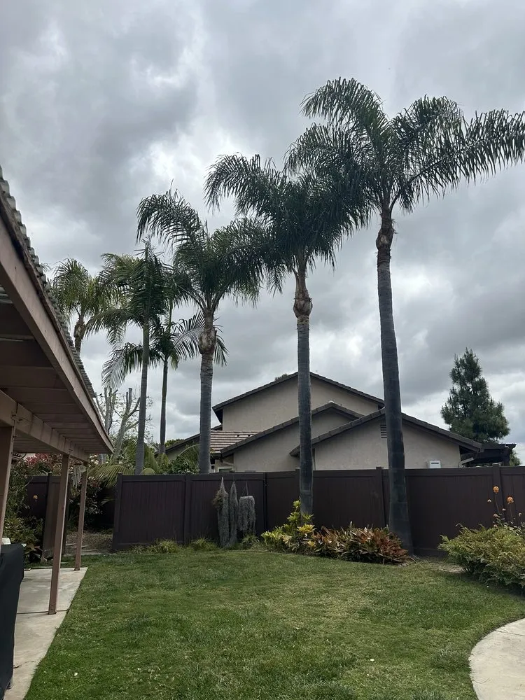 Professional landscape installation in Encinitas, CA - JJ Tree service