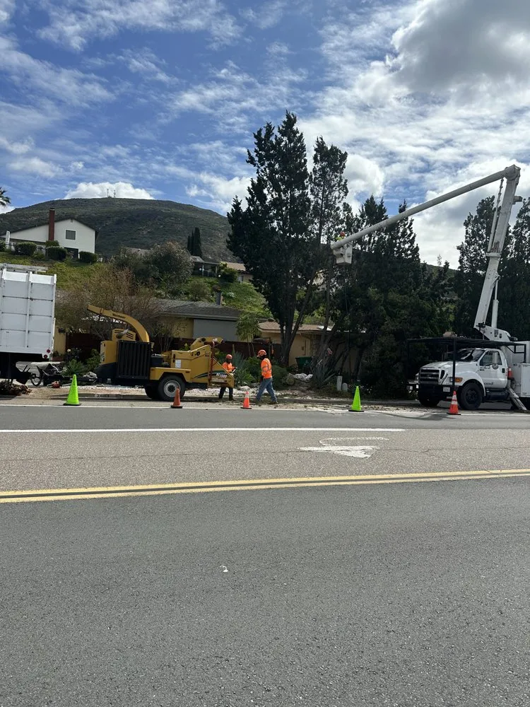 Top-rated residential landscaping in Encinitas, CA - JJ Tree service