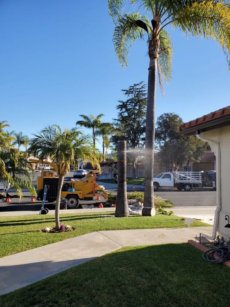 Local garden landscaping in Encinitas, CA by JJ Tree service