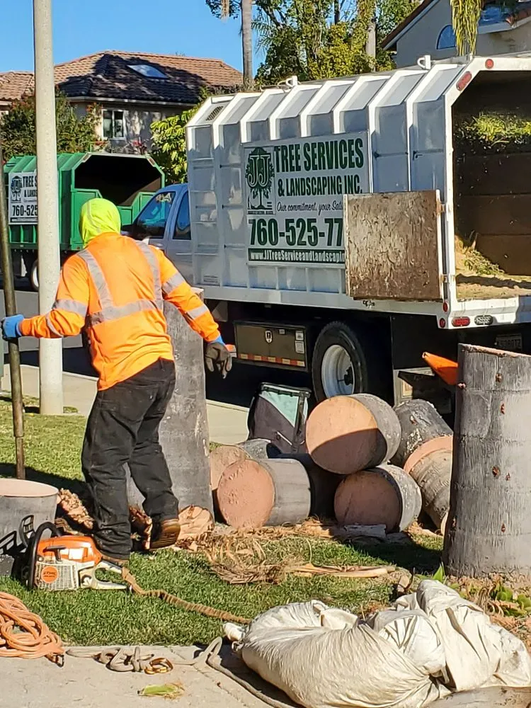 Local yard maintenance in Encinitas, CA by JJ Tree service