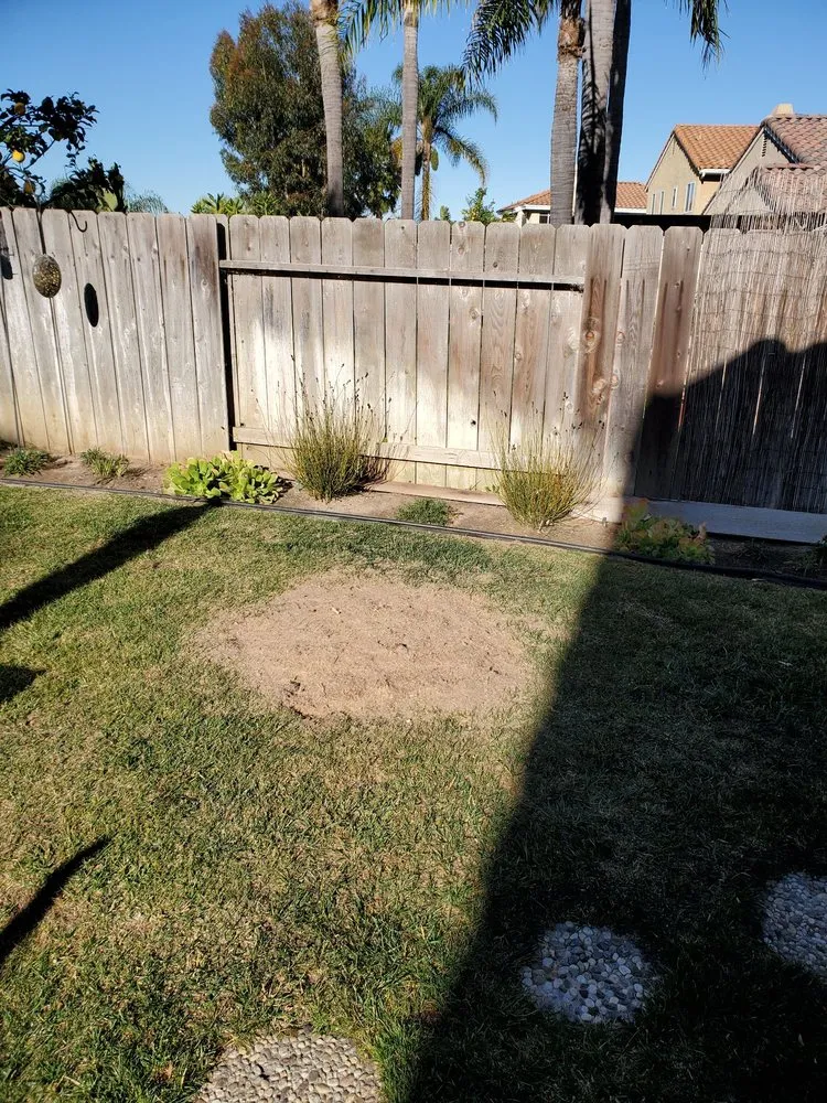 Affordable yard cleanup service in Encinitas, CA by JJ Tree service