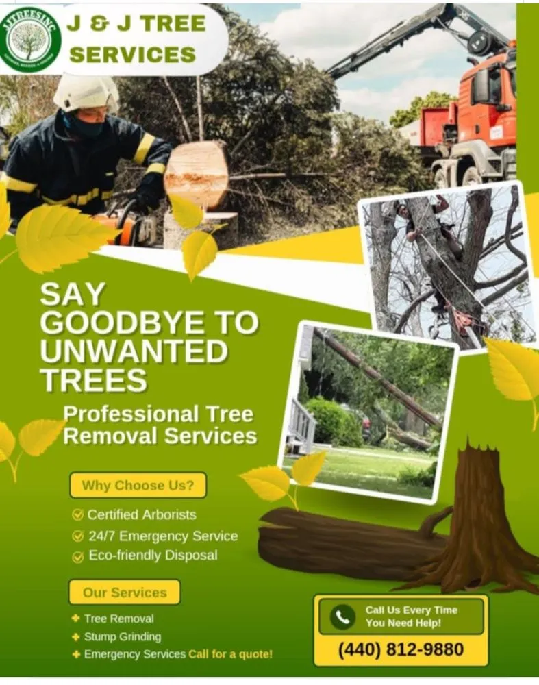 Top-rated yard maintenance in Kingsville, OH - J&J Tree Service