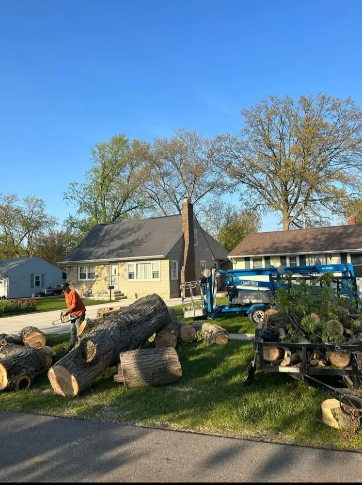 Affordable lawn care service for residential properties across Kingsville, OH - J&J Tree Service