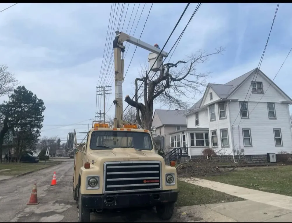 Trusted lawn care service in Kingsville, OH by J&J Tree Service