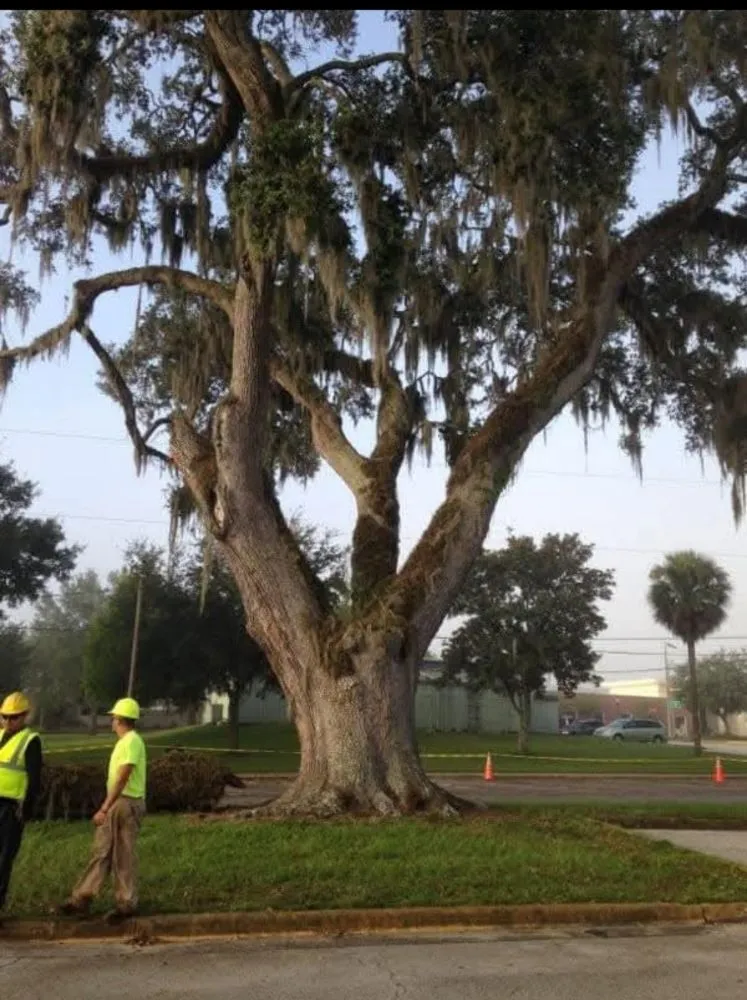 Trusted residential landscaping in Kingsville, OH by J&J Tree Service