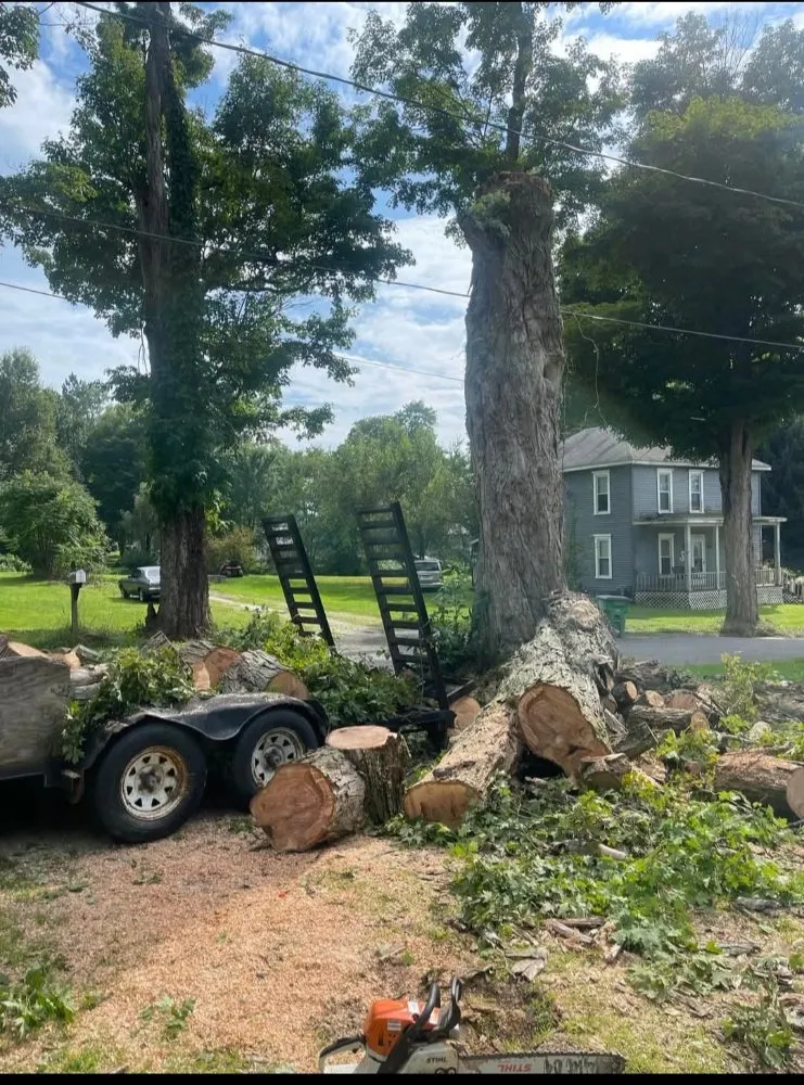 Expert lawn mowing service for homes in Kingsville, OH by J&J Tree Service