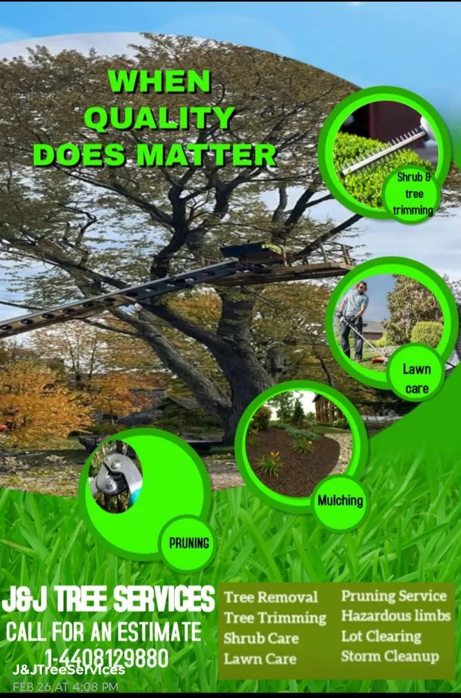 Top-rated lawn mowing service experts serving Kingsville, OH - J&J Tree Service