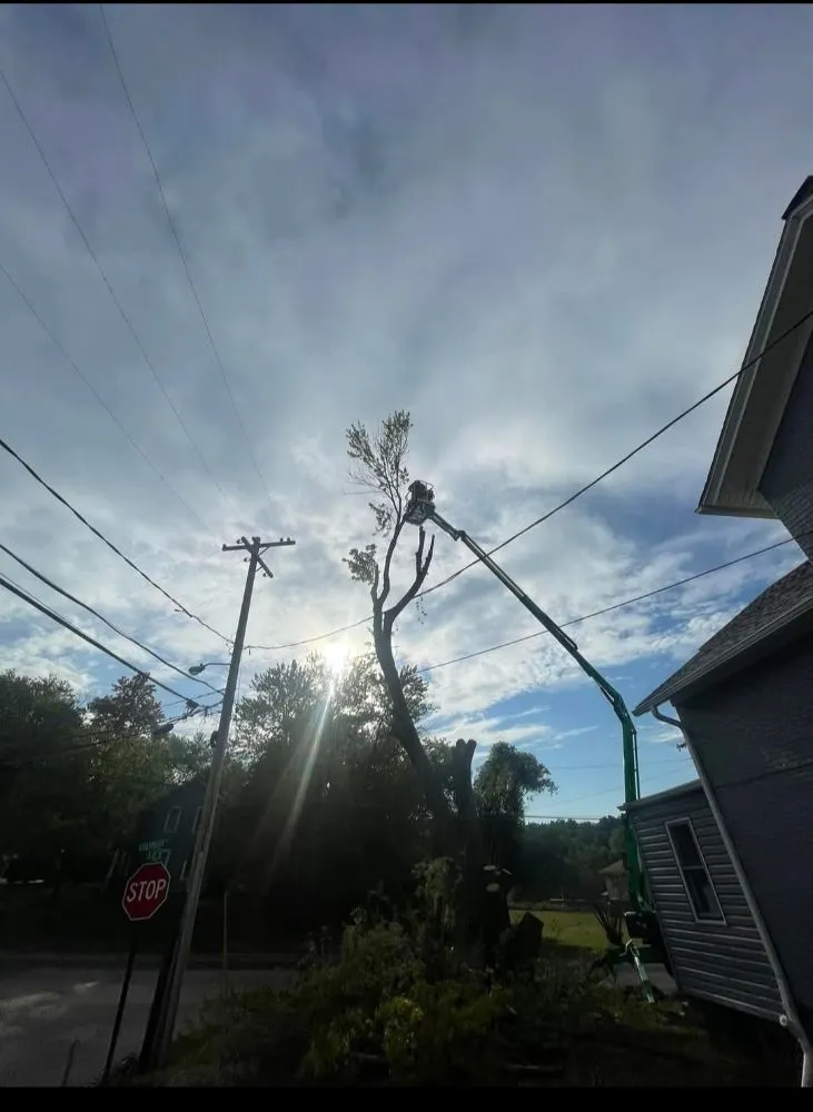 Trusted outdoor landscaping in Kingsville, OH - J&J Tree Service