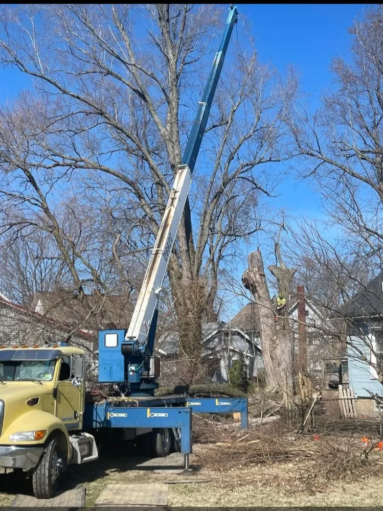 Top-rated landscaping services in Kingsville, OH - J&J Tree Service