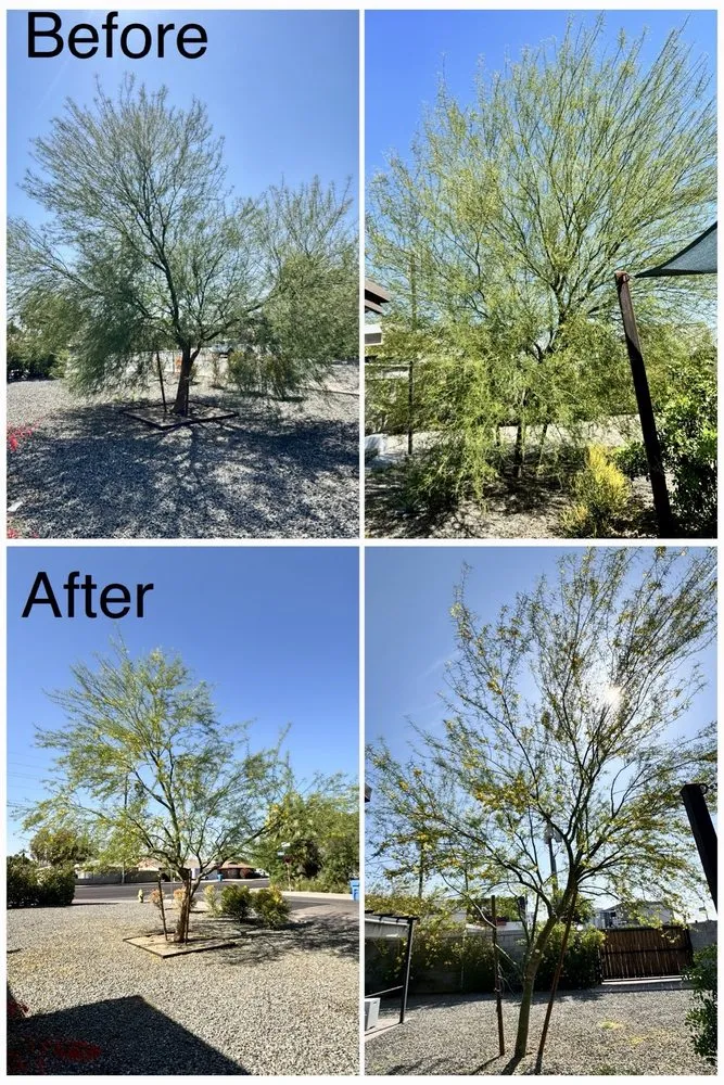 Custom garden landscaping in Phoenix, AZ by JJ Tree Service