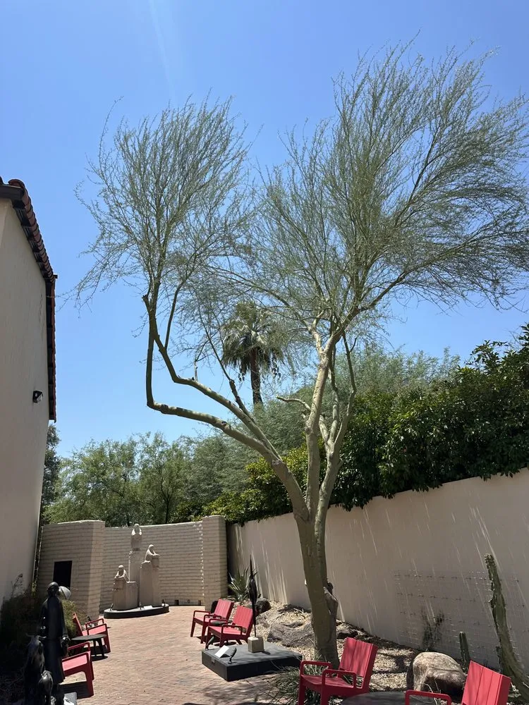 Local lawn mowing service near you in Phoenix, AZ by JJ Tree Service