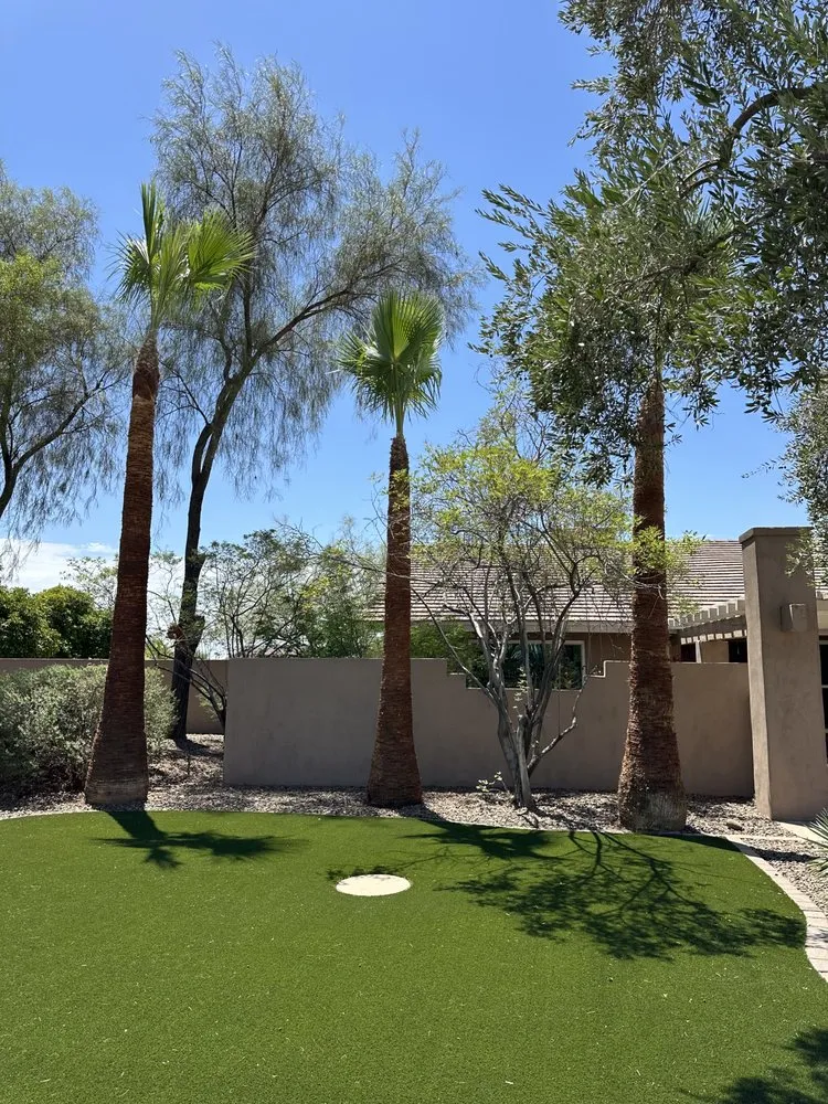 Affordable lawn mowing service with custom design across Phoenix, AZ - JJ Tree Service