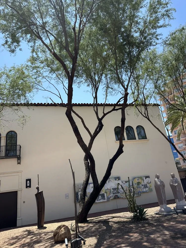 Affordable outdoor landscaping for year-round maintenance across Phoenix, AZ - JJ Tree Service