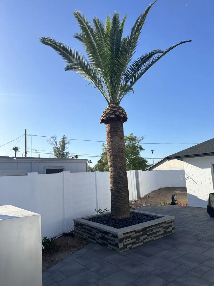 Professional landscaping services in Phoenix, AZ by JJ Tree Service