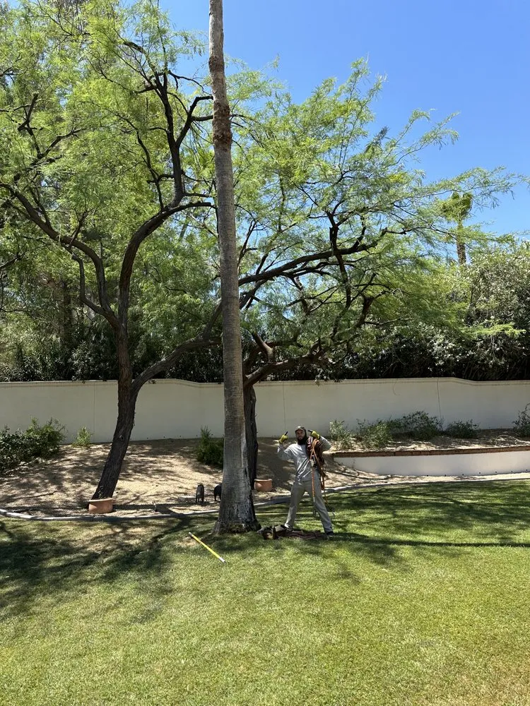 Reliable landscaping services experts serving Phoenix, AZ - JJ Tree Service