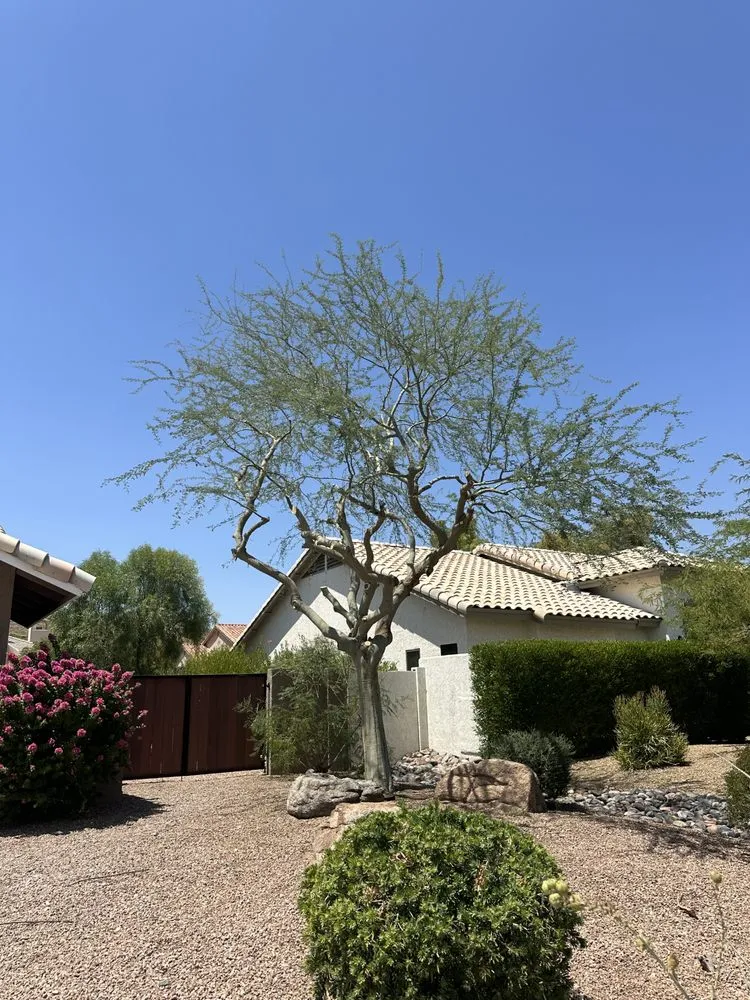 Local garden landscaping in Phoenix, AZ by JJ Tree Service