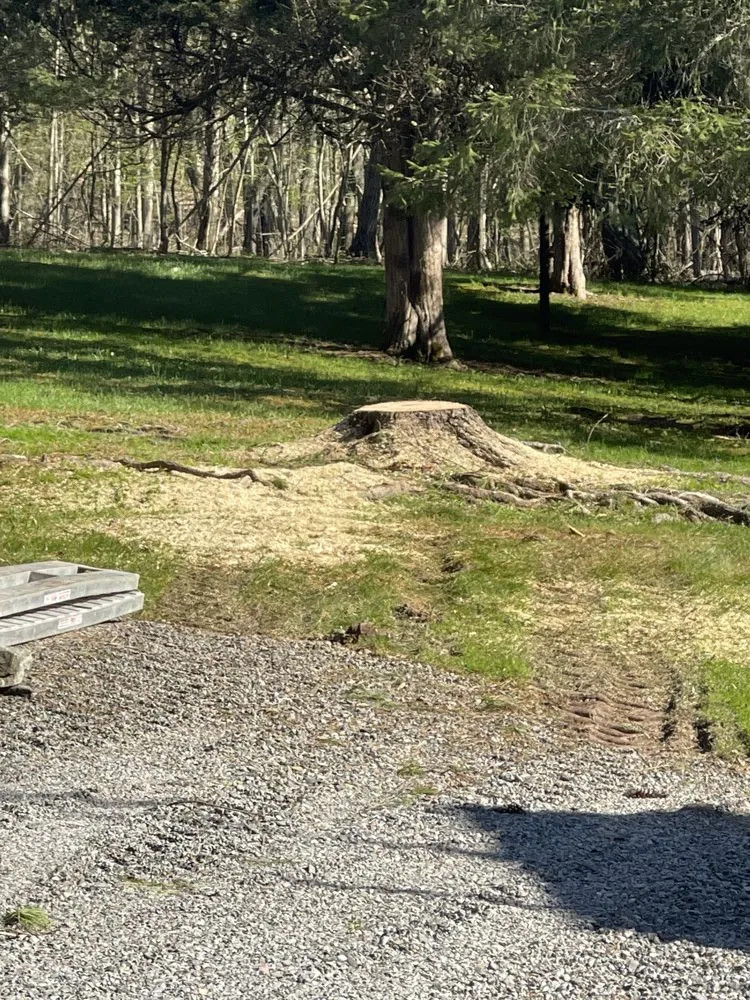 Trusted landscape design for homes in Preston Hollow, NY by JJ Tree Service