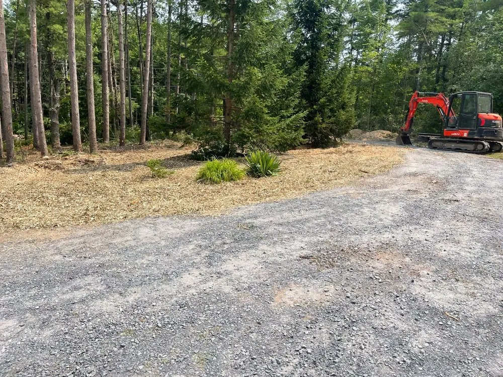Trusted yard maintenance in Preston Hollow, NY - JJ Tree Service