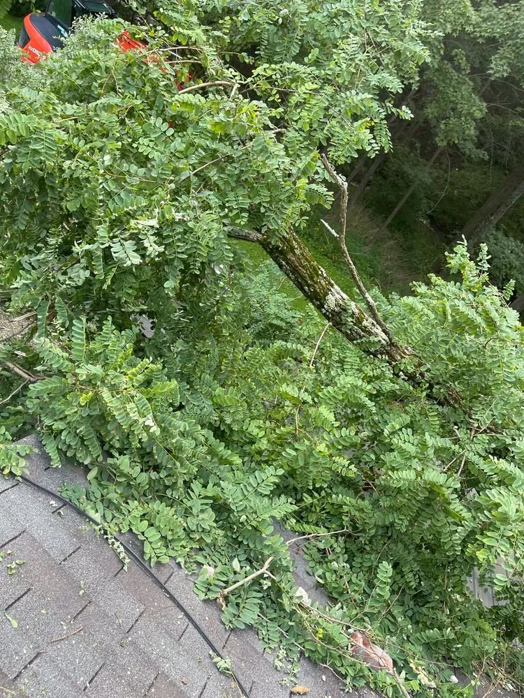 Trusted garden landscaping in Preston Hollow, NY - JJ Tree Service