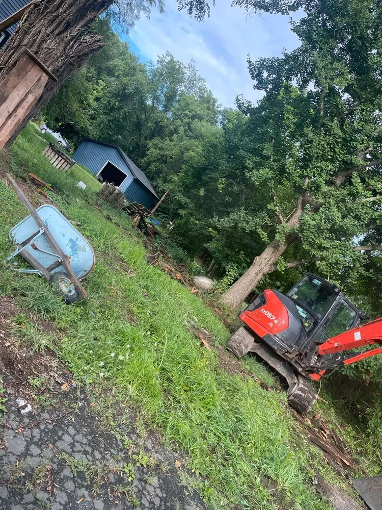 Local yard cleanup service experts serving Preston Hollow, NY - JJ Tree Service