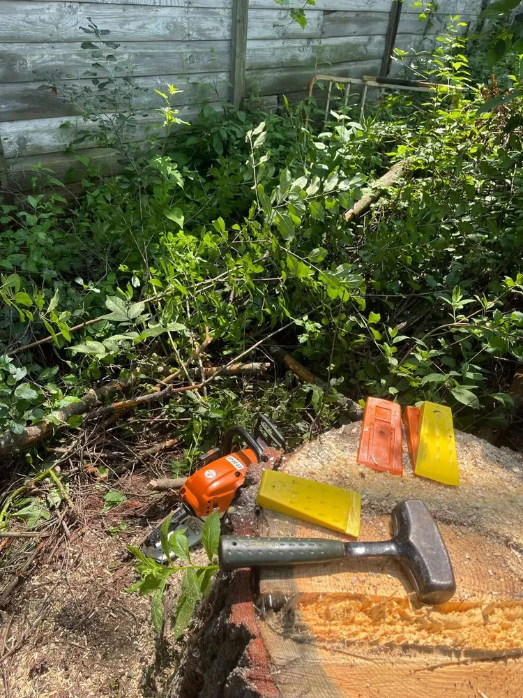 Affordable yard maintenance with custom design across Preston Hollow, NY - JJ Tree Service