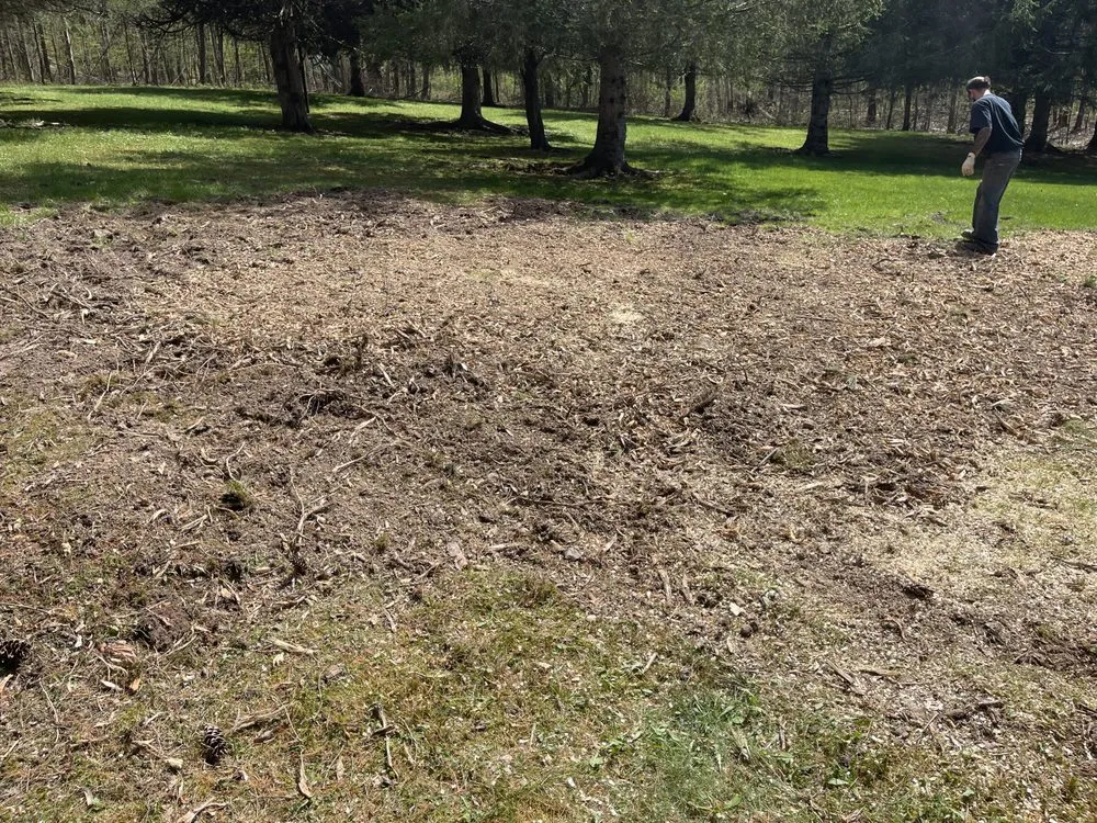 Affordable yard maintenance in Preston Hollow, NY - JJ Tree Service