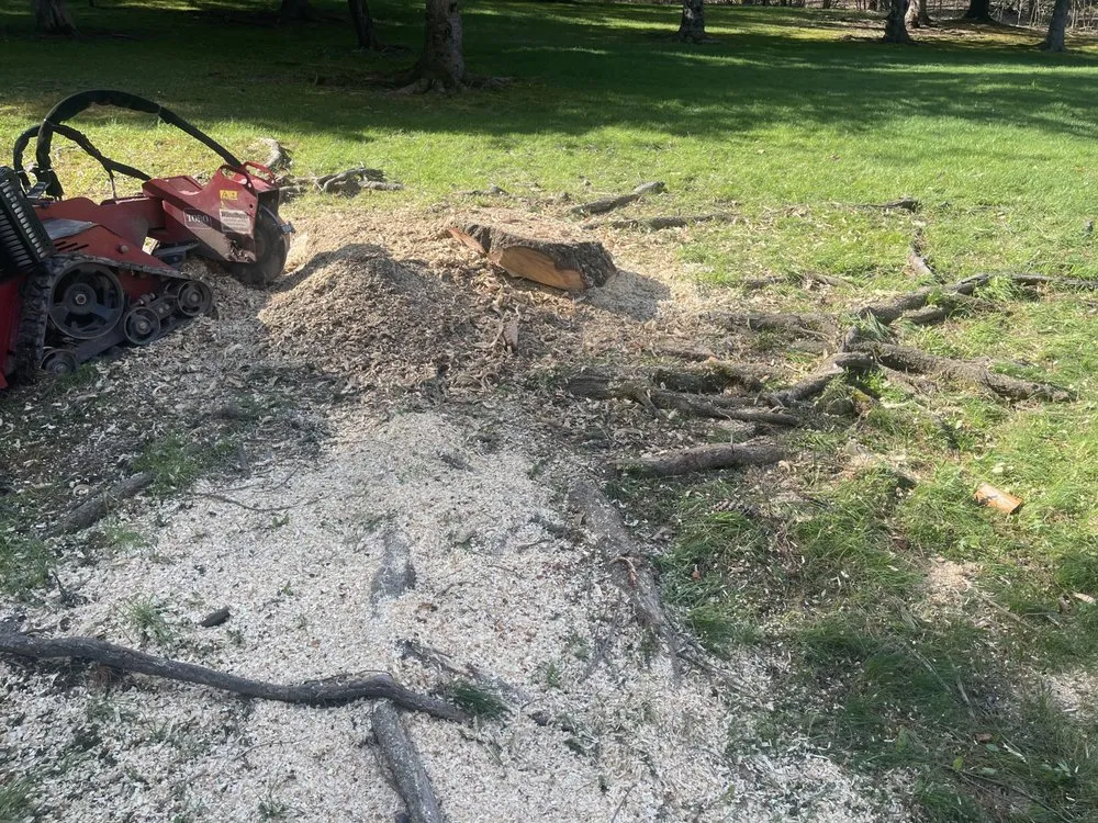 Top-rated landscape design experts serving Preston Hollow, NY - JJ Tree Service