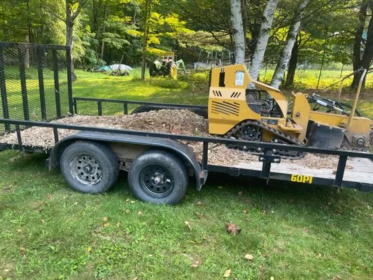 JJ Tree Service