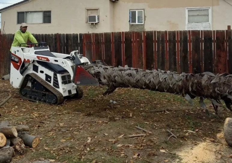 Expert lawn care service in Whittier, CA by J&J Tree Service