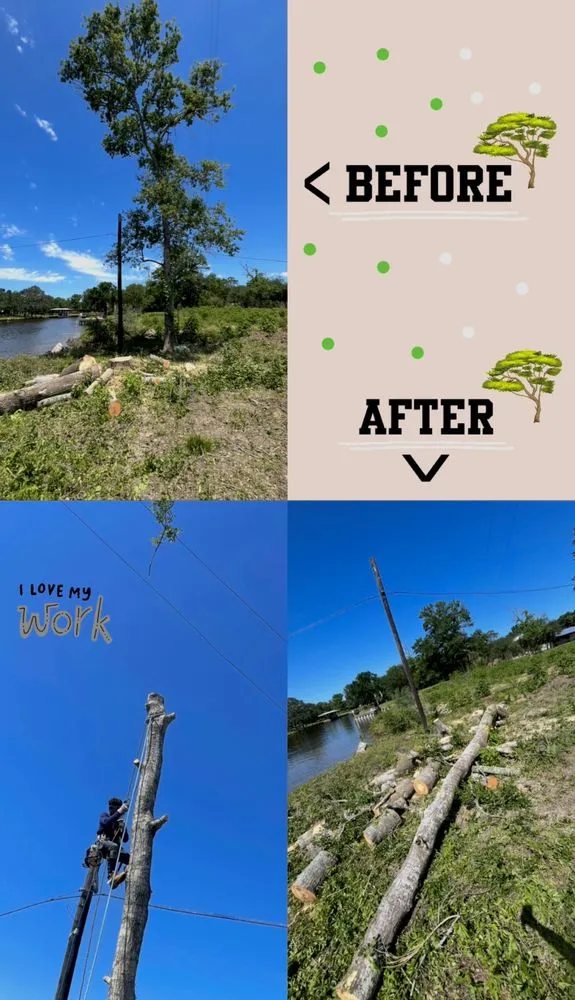 Local landscape installation for homes across Houston, TX - Jj Tree services