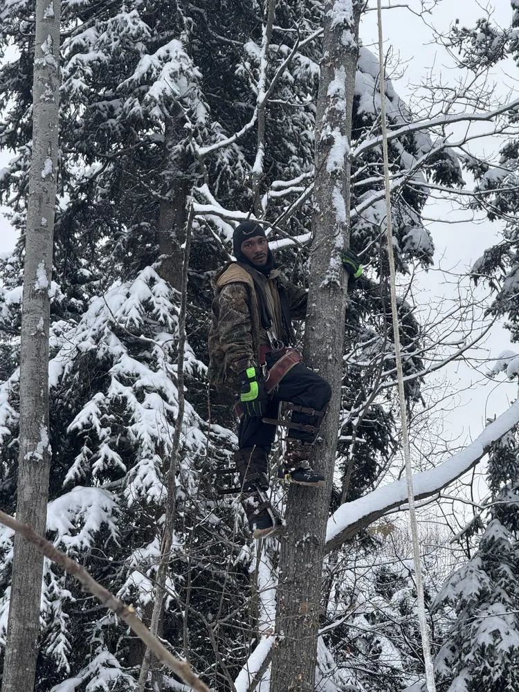 Expert residential landscaping for residential properties across Anchorage, AK - J&J Trees And More